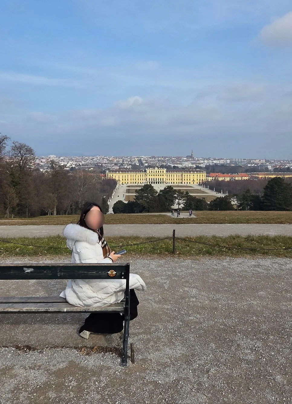 維也納市景與美泉宮全景