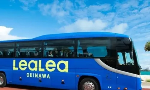 Mihama American Village Line 1-Day Bus Pass (Okinawa) - My Real Trip
